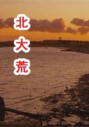 一部是大年初三重映的纪录电影《重返·狼群》，另一部是大年初四在广东、广西两地分线发行的香港电影《夜王》。
